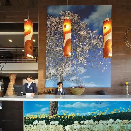 Hotel Occidental Cala Vinas 4*